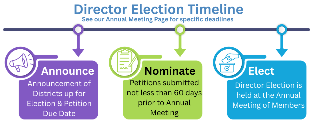 Election Timeline Image